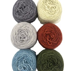 Kiddies B - 100% Single Merino Fingering (6x25g)