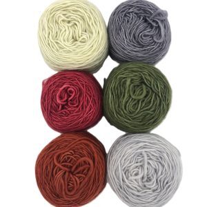 Kiddies G - 100% Single Merino Fingering (6x25g)
